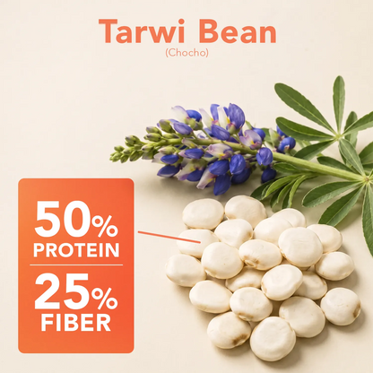 Tarwi Beans